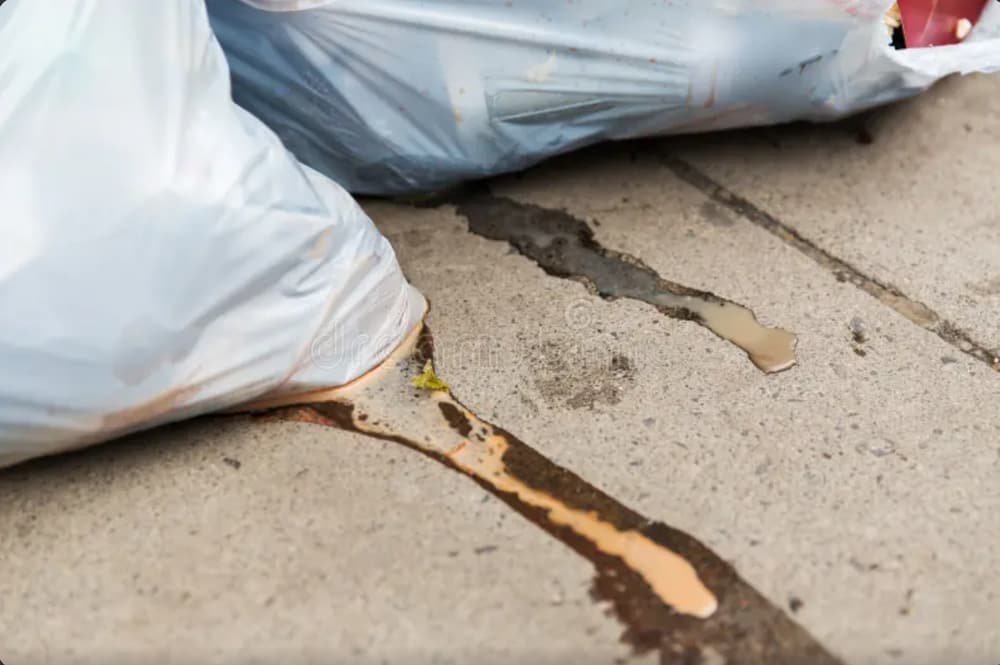 Leaking trash bag at unit 4-3201